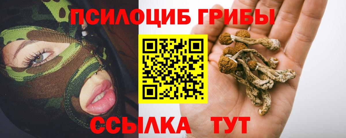 Галлюциногенные грибы MAGIC MUSHROOMS  Вход с VPN  Бор 