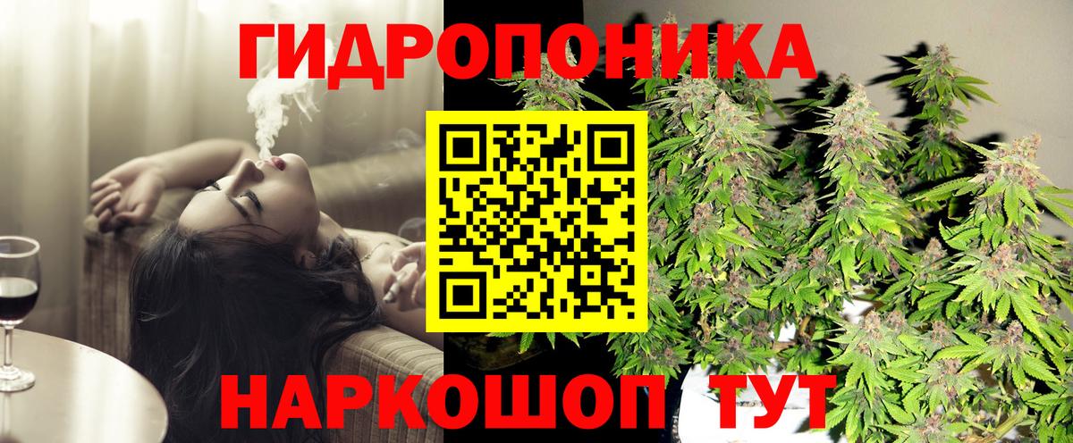 Бошки марихуана конопля  Вход с VPN  Конопля White Widow  Бошки Шишки марихуана  Бор 